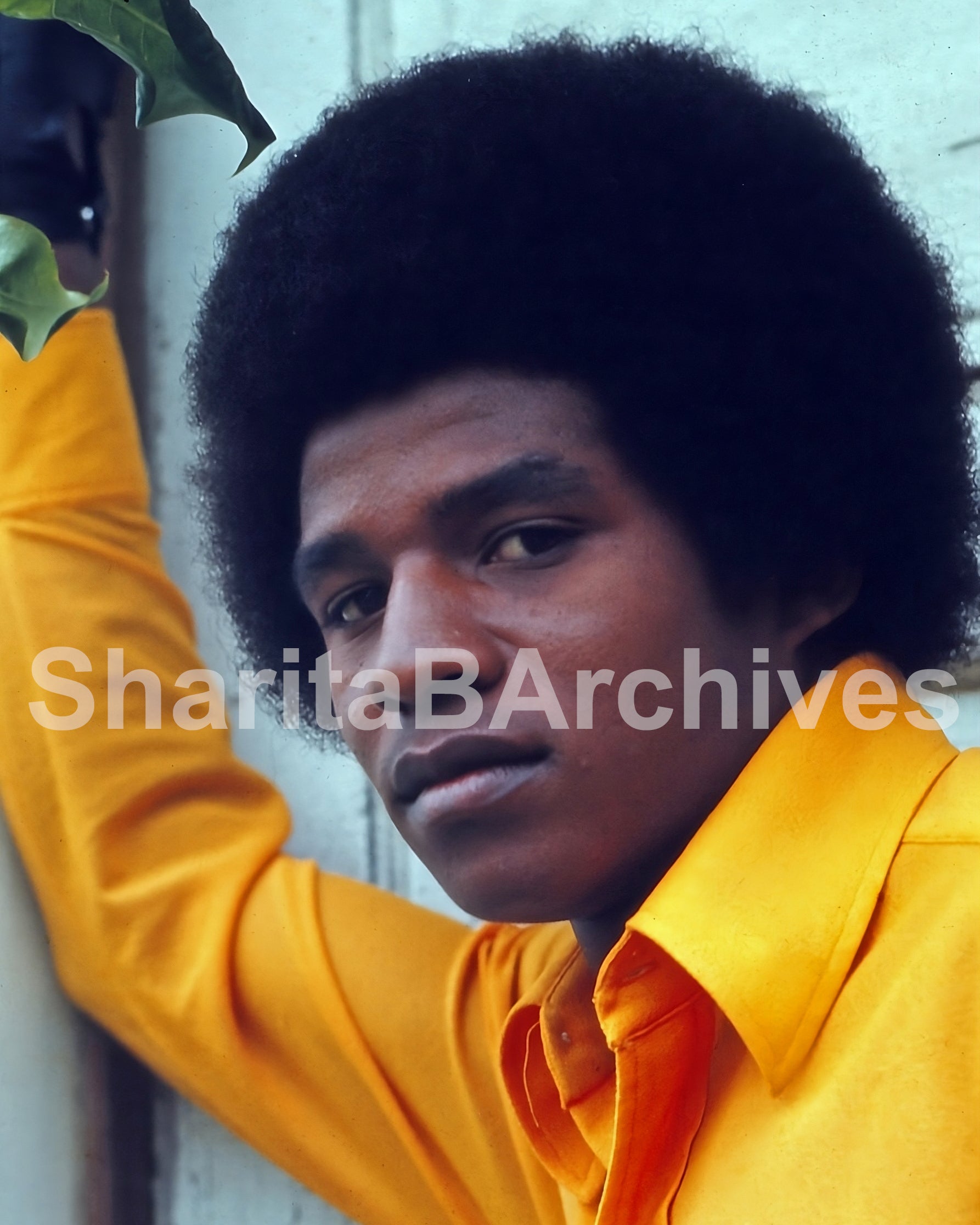 Jackie Jackson – Fine Art Print