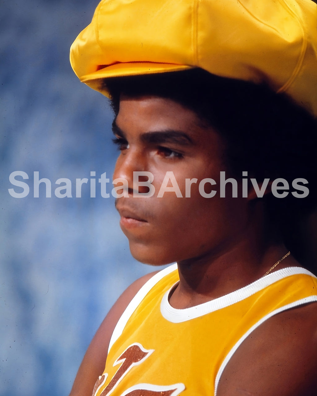 The Jackson 5 — Goin' Back to Indiana TV Special (1971)