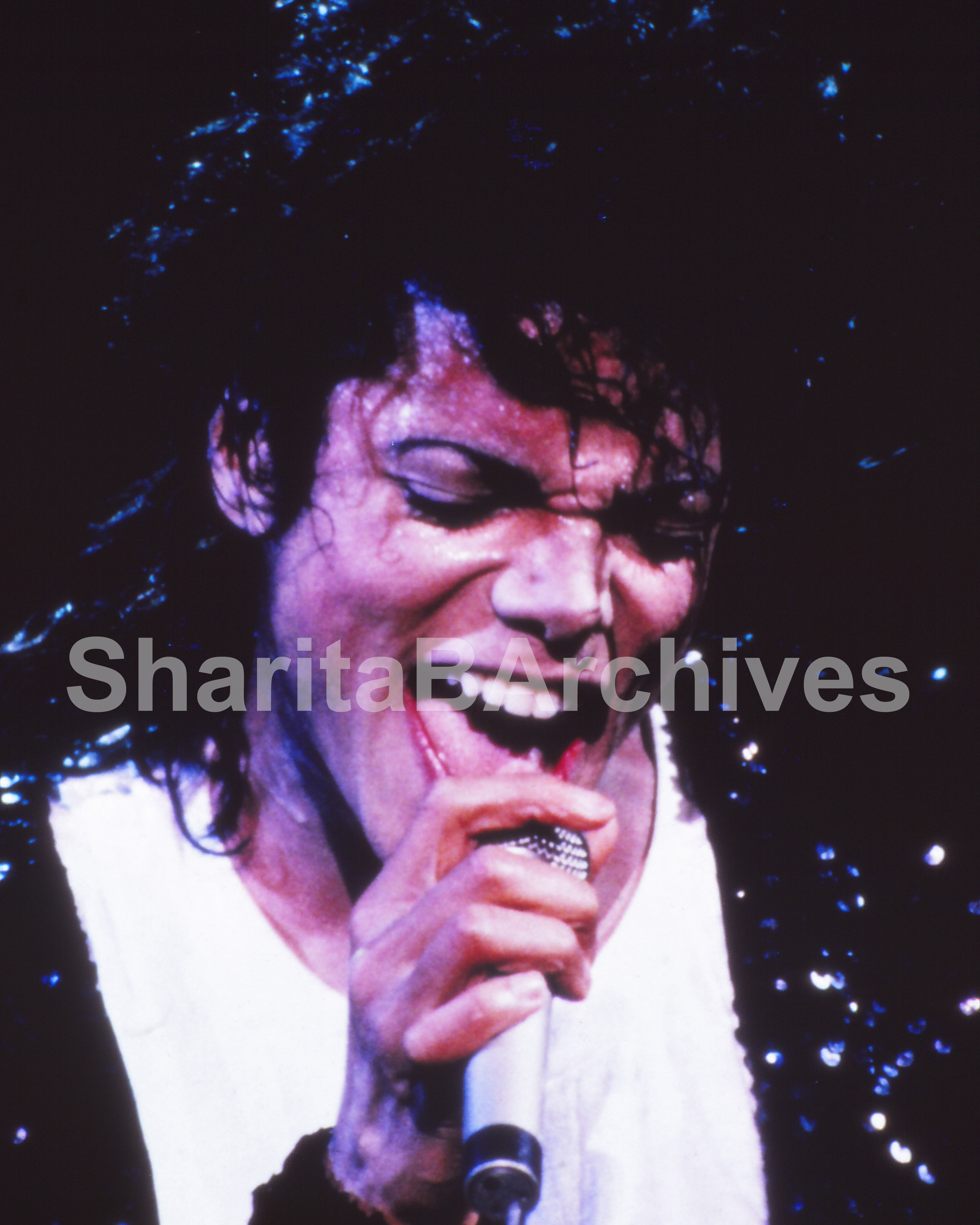 Michael Jackson — Live in Concert Fine Art Print
