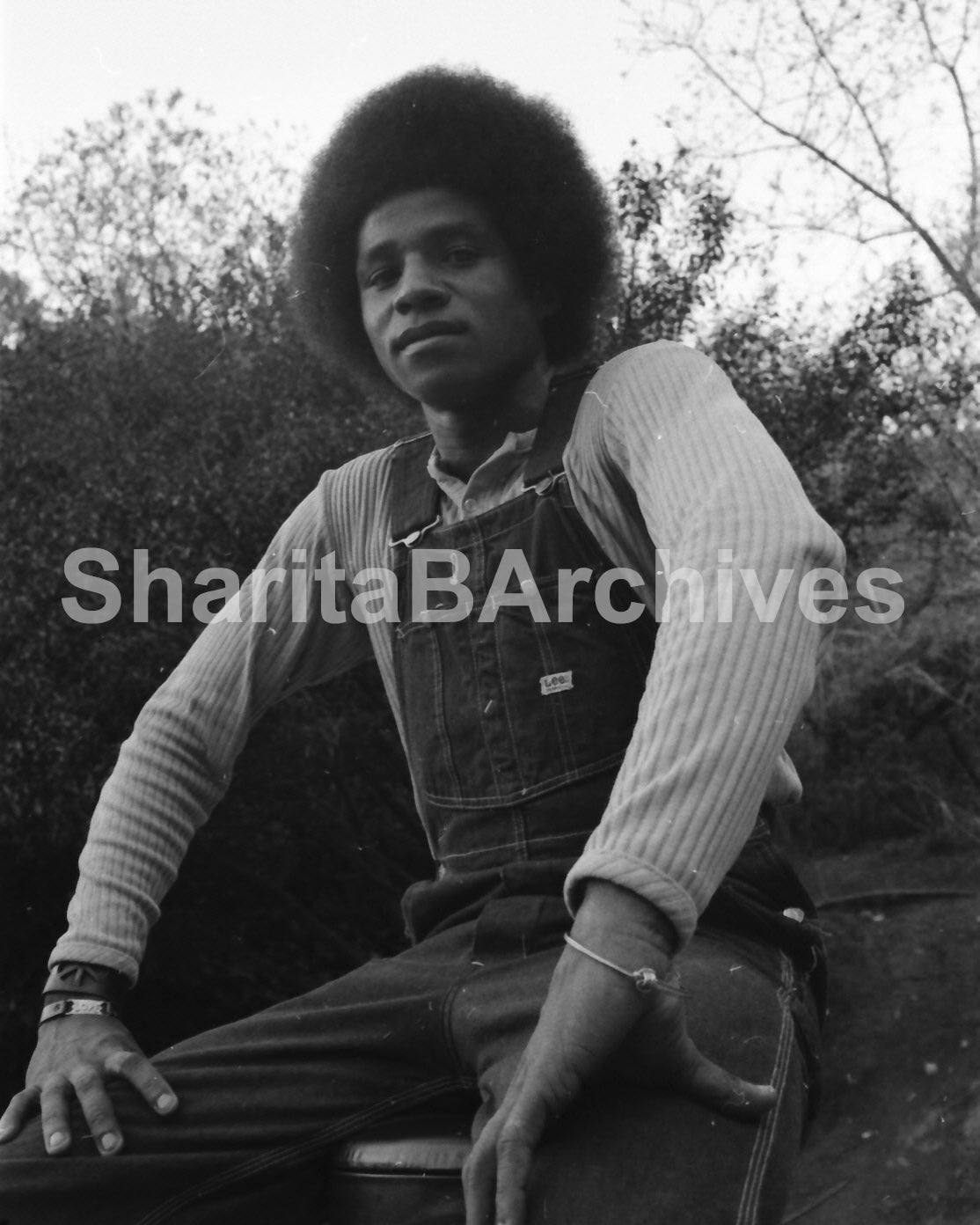 Jackie, Jermaine & Tito Jackson – Candid Basketball Photographs, circa 1972