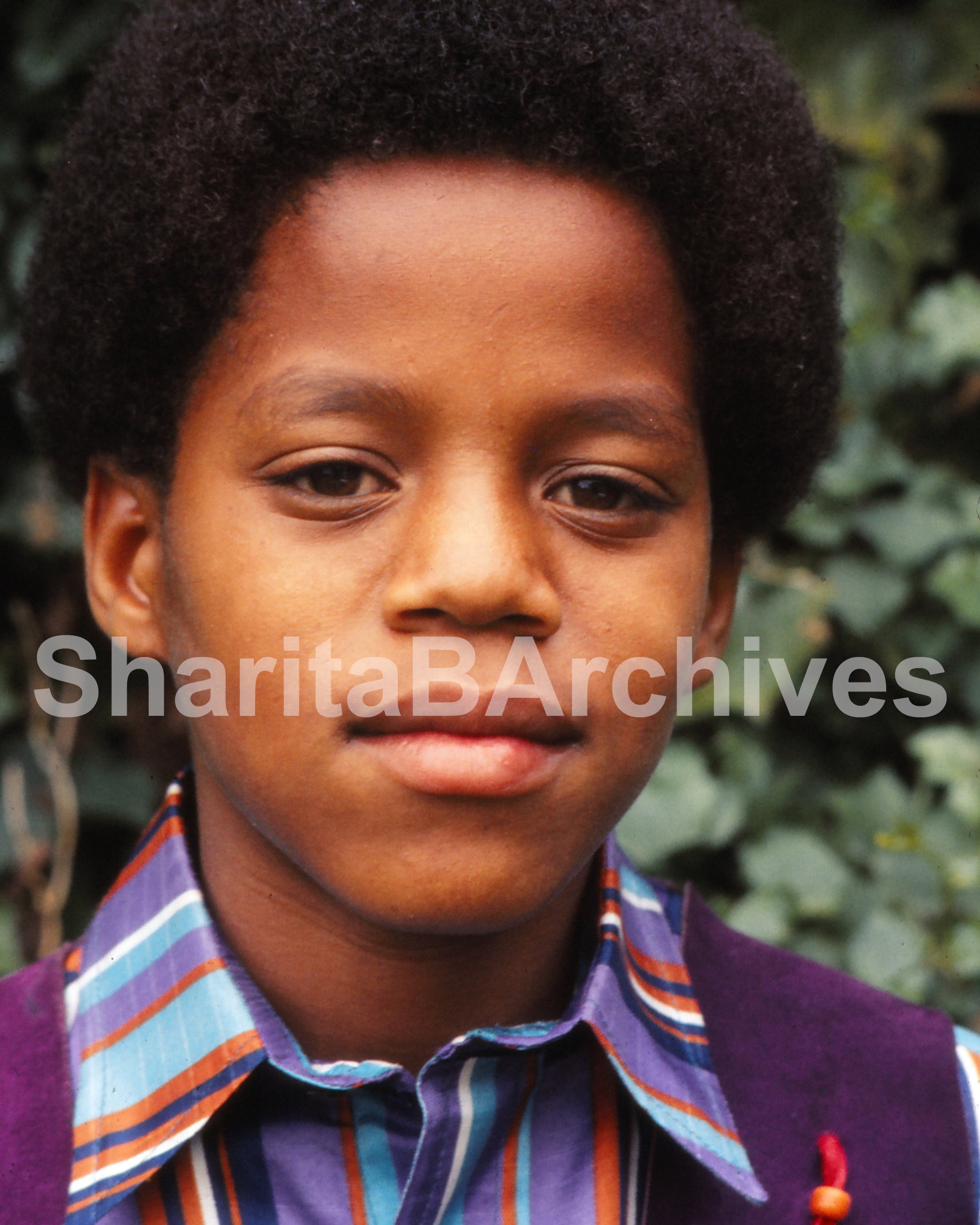 Marlon Jackson – Colorful Fine Art Print